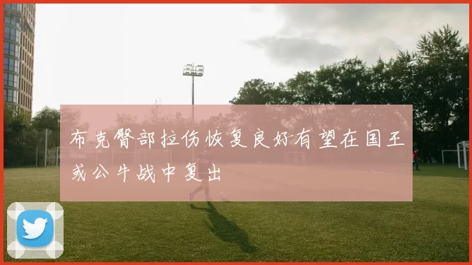 布克臀部拉伤恢复良好有望在国王或公牛战中复出